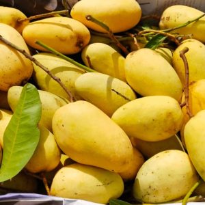 কাটিমন আম ১২ কেজি