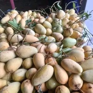 কাটিমন আম ১৫ কেজি