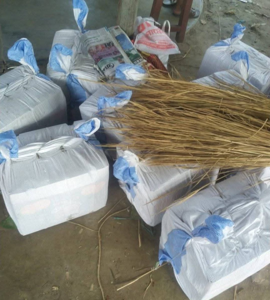 WhatsApp-Image-2025-08-19-at-20.48.57_f6d5e9ed